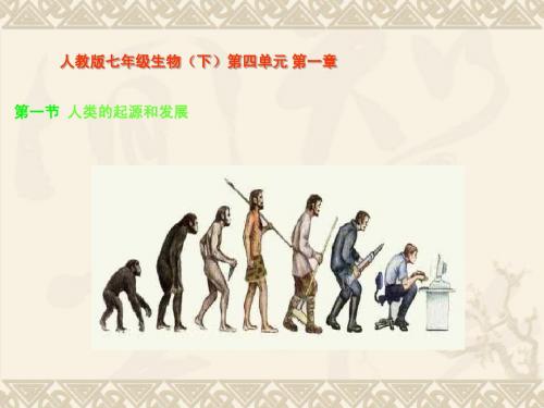 生物：1.1《人类的起源和发展》课件(人教版七年级下)