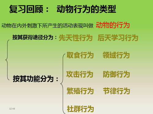 动物行为的研究课件北师大版生物八年级上册