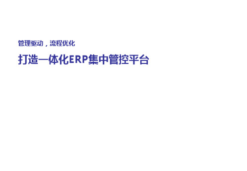 德勤-大型企业业务流程优化及ERP整体规划方案