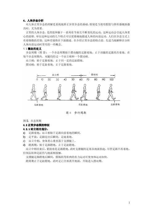 德国教材-生物力学