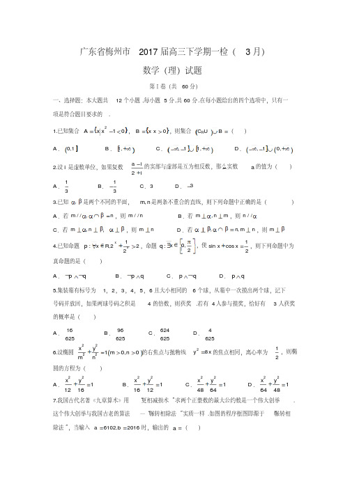 广东省梅州市2017届高三下学期一检(3月)理数试题