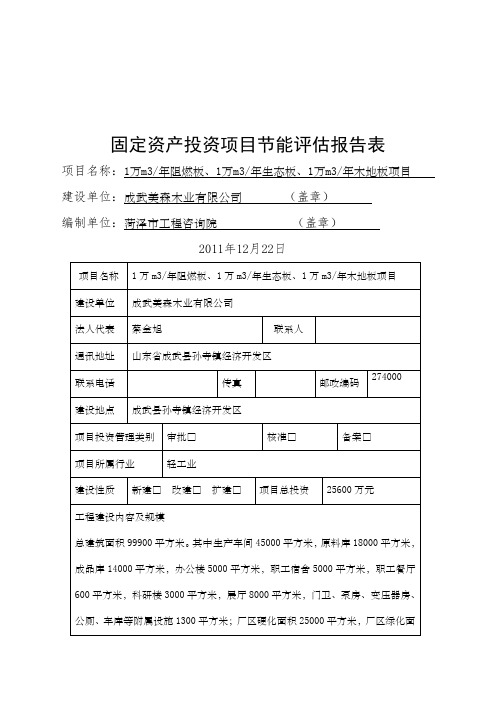 固定资产投资项目节能评估报告表范本页WORD