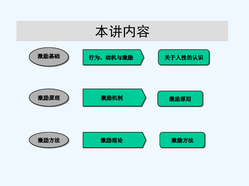 第十三讲激励原理ppt课件