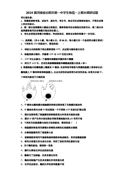 2024届河南省沁阳市第一中学生物高一上期末调研试题含解析