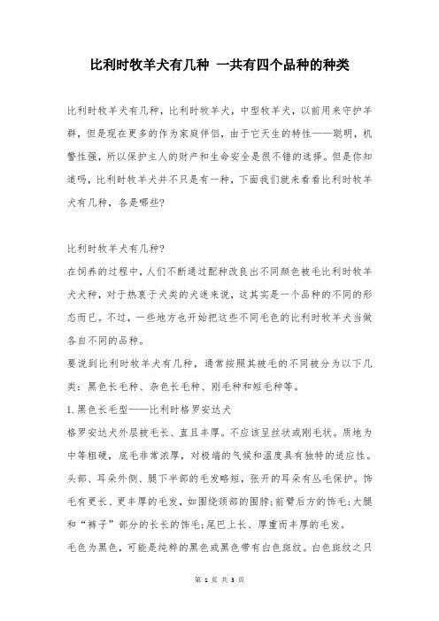 比利时牧羊犬有几种 一共有四个品种的种类