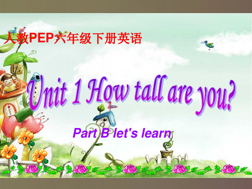 六年级下册英语课件 Unit1 how tall are you Part B let's learn 人教PPT