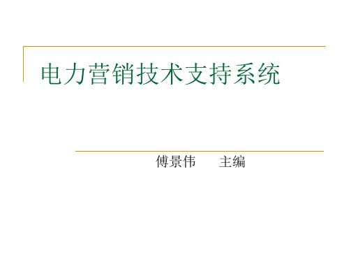 电力营销技术支持系统