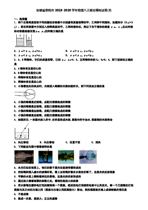 安徽省阜阳市2019-2020学年物理八上期末模拟试卷(3)