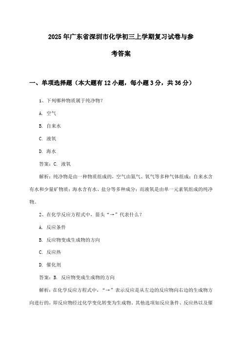 2025年广东省深圳市化学初三上学期复习试卷与参考答案