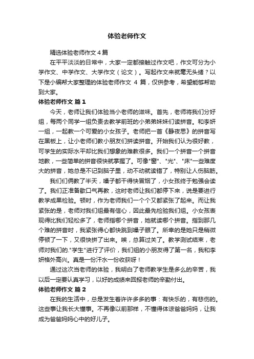 精选体验老师作文4篇