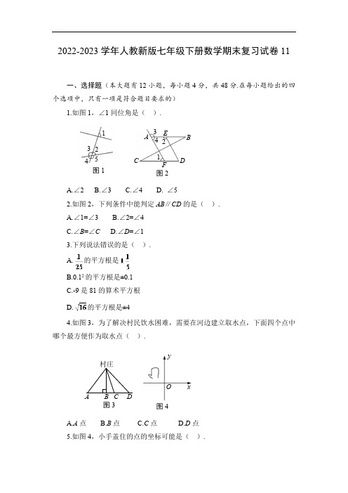 2022-2023学年人教新版七年级下册数学期末复习试卷11(含答案)