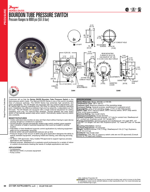 达维尔仪器有限公司 Bourdon 压力传感器系列 DA DS 产品说明说明书