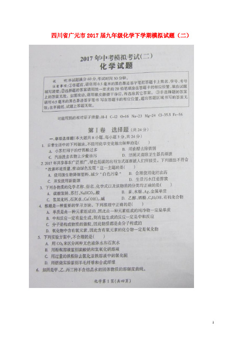 2017届九年级化学下学期模拟试题二扫