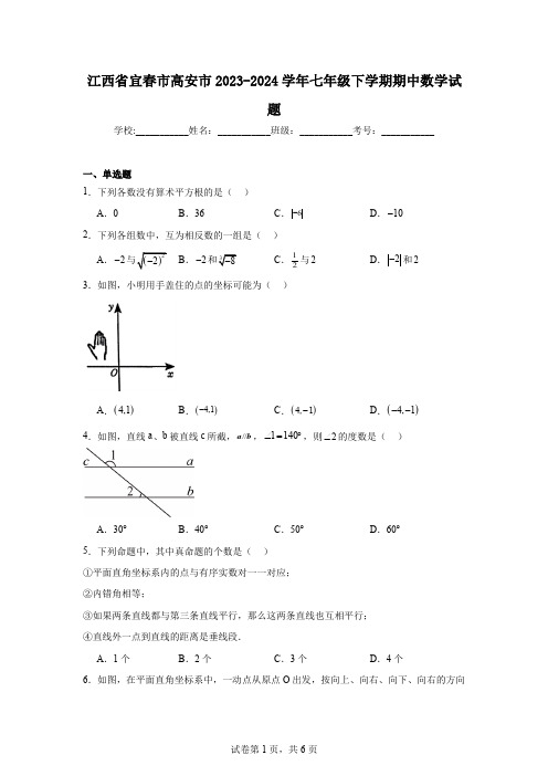 江西省宜春市高安市2023-2024学年七年级下学期期中数学试题