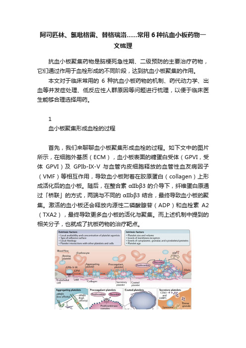 阿司匹林、氯吡格雷、替格瑞洛......常用6种抗血小板药物一文梳理