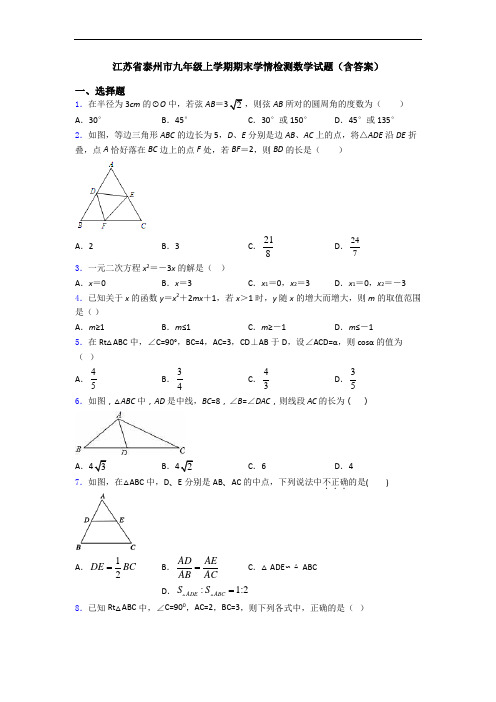 江苏省泰州市九年级上学期期末学情检测数学试题(含答案)