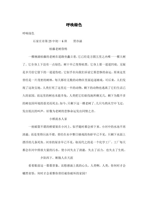 呼唤绿色_初中初一作文500字