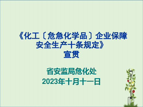 《化工(危险化学品)企业保障安全生产十条规定》宣贯