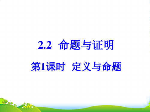 湘教版八年级数学上册《定义与命题》课件