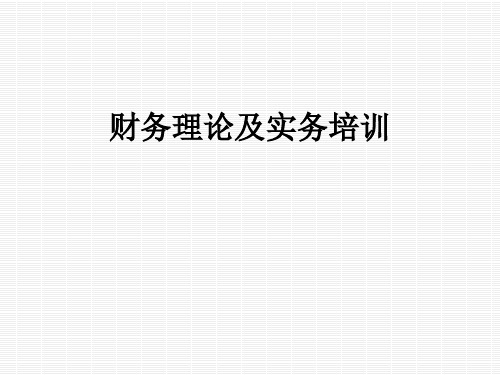 财务理论及实务培训