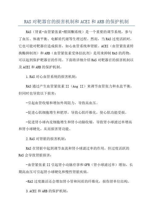 RAS对靶器官的损害机制和ACEI和ARB的保护机制