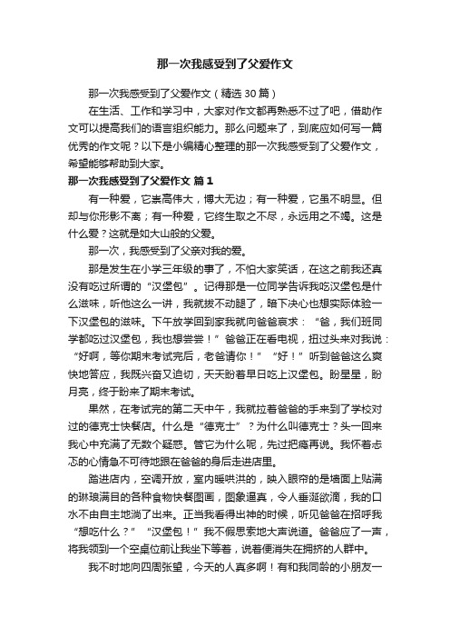 那一次我感受到了父爱作文