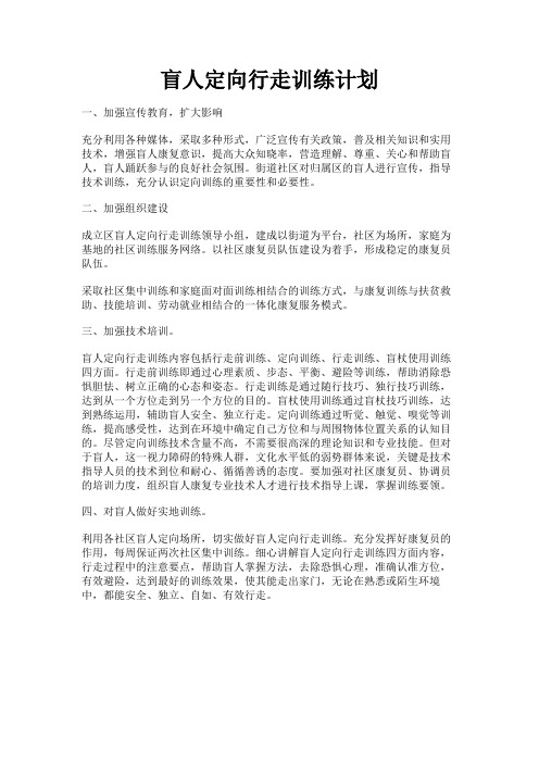 最新 盲人定向行走训练计划-精品