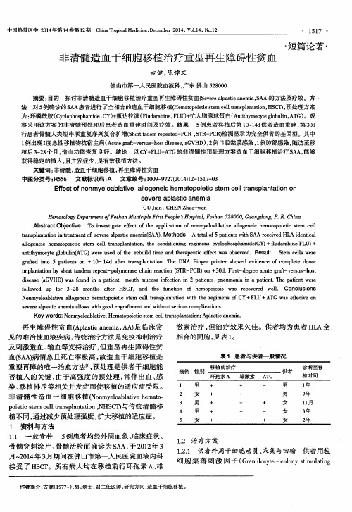 非清髓造血干细胞移植治疗重型再生障碍性贫血