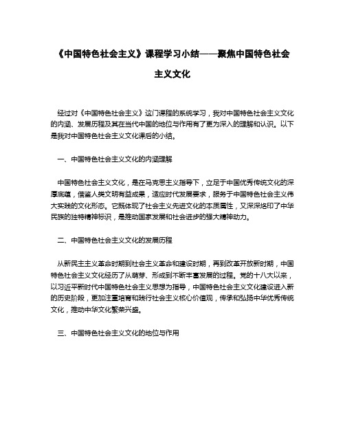 《中国特色社会主义》中国特色社会主义文化课后小结