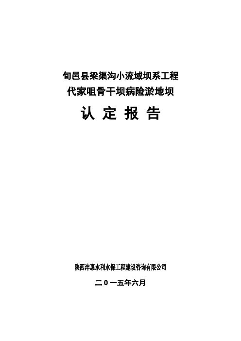 代家咀骨干坝病险淤地坝认定报告