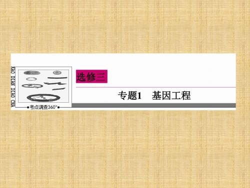 【状元之路】高考生物一轮复习 专题1 基因工程名师优质课件 新人教版选修3