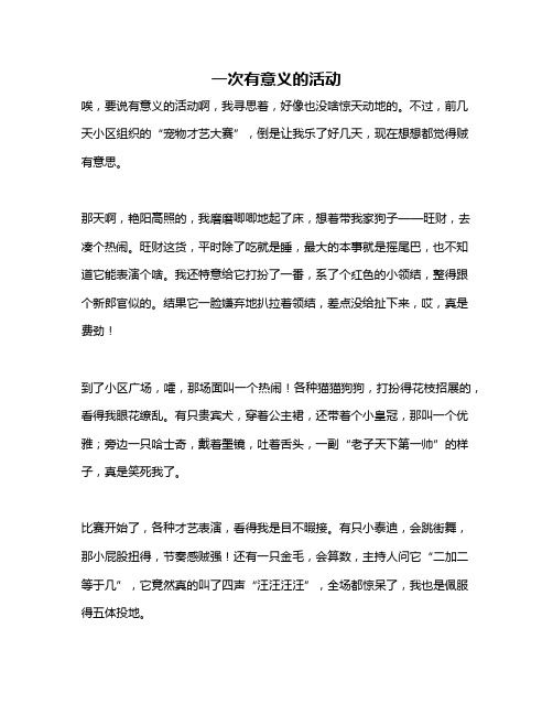 作文《一次有意义的活动》