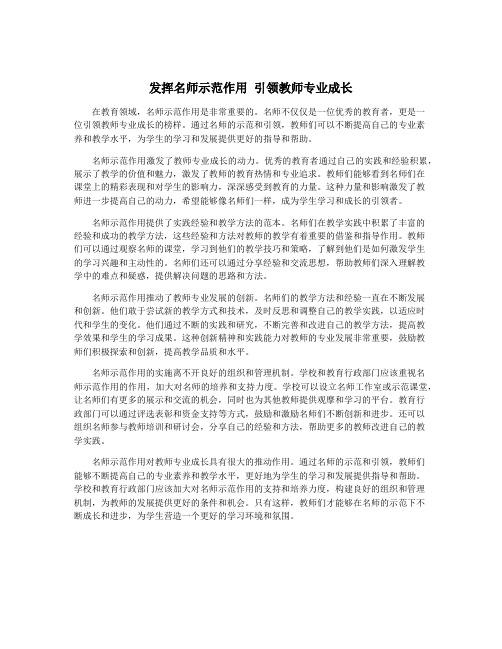 发挥名师示范作用 引领教师专业成长