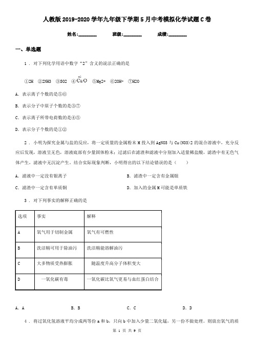 人教版2019-2020学年九年级下学期5月中考模拟化学试题C卷
