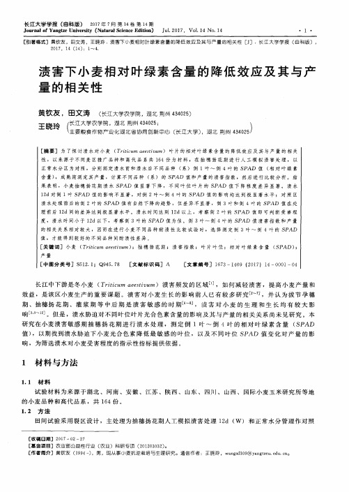 渍害下小麦相对叶绿素含量的降低效应及其与产量的相关性