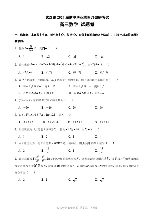 2024年湖北省武汉市高中毕业生四月调研考试(武汉四调)数学试卷(含答案详解)