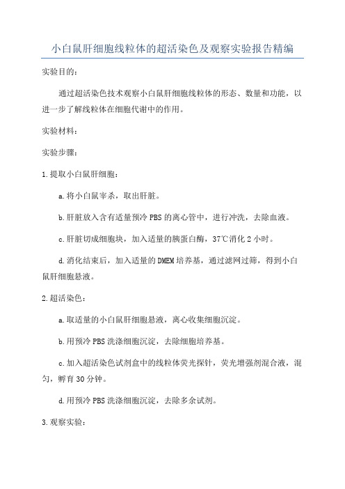 小白鼠肝细胞线粒体的超活染色及观察实验报告精编