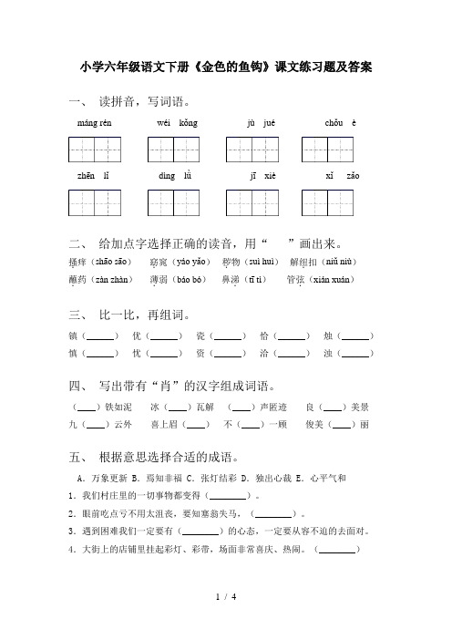 小学六年级语文下册《金色的鱼钩》课文练习题及答案