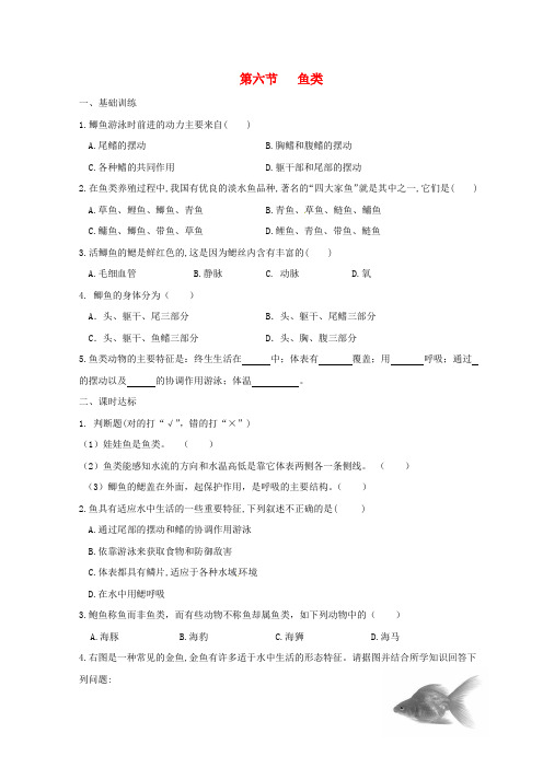 福建省莆田市七年级生物上册 1.4.6鱼类测试题 (新版)冀教版