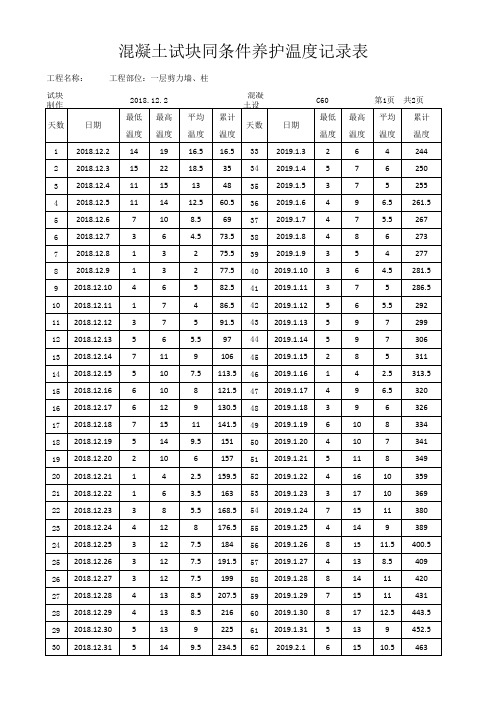 600℃砼试块同条件养护温度记录