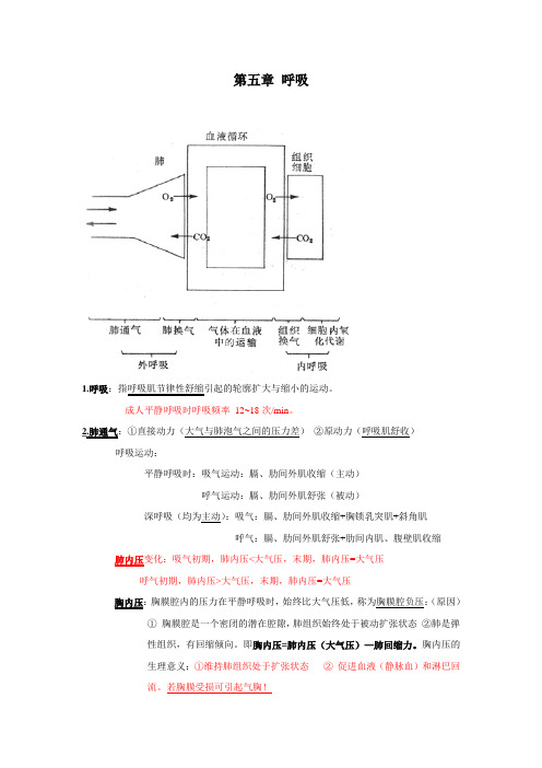 呼吸完整版(生理整理笔记)