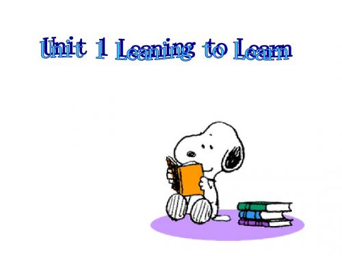 九年级英语Leaning-to-Learn课件