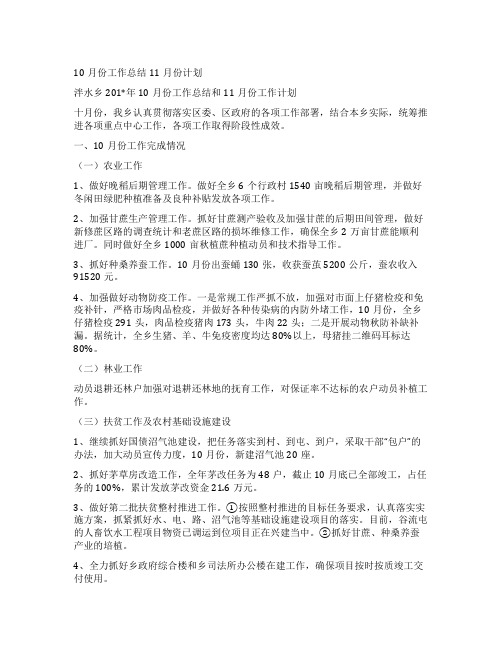 10月份工作总结11月份计划