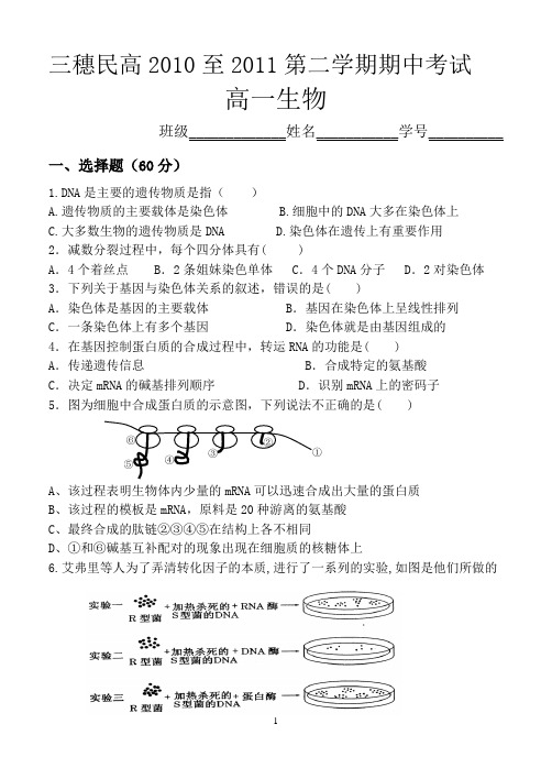 新课标 人教版 高一下学期生物必修2 期中试题