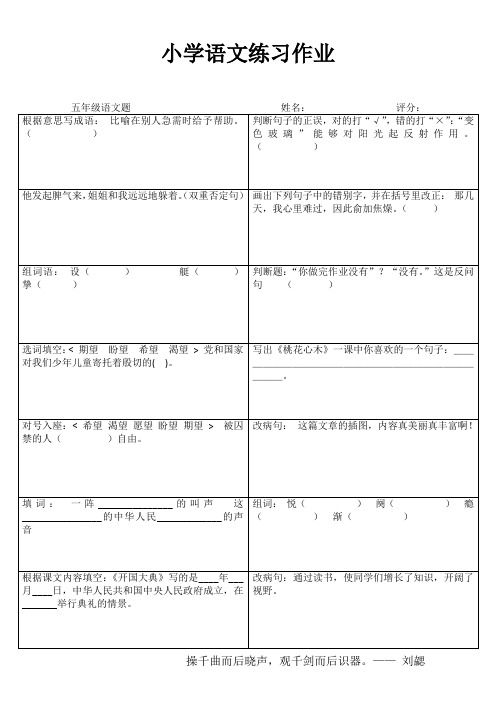 五年级语文课堂拓展精选练习IV (91)