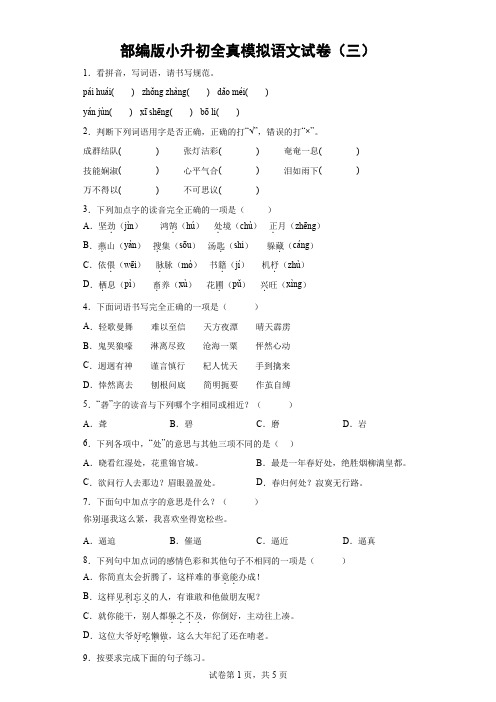 部编版小升初全真模拟语文试卷(三)-