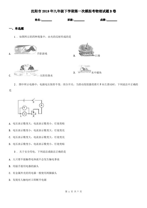 沈阳市2019年九年级下学期第一次模拟考物理试题B卷