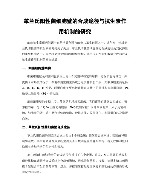 革兰氏阳性菌细胞壁的合成途径与抗生素作用机制的研究