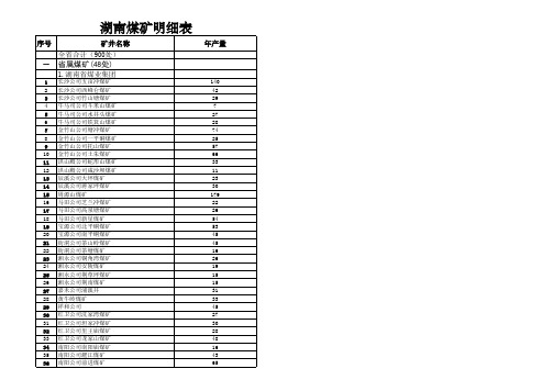 湖南煤矿名细