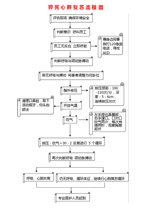 心源性猝死救治流程和猝死心肺苏流程图